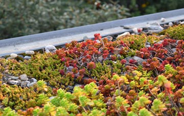 the cost of Dainton green roof installation