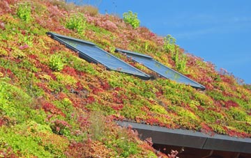 Dainton living roof systems